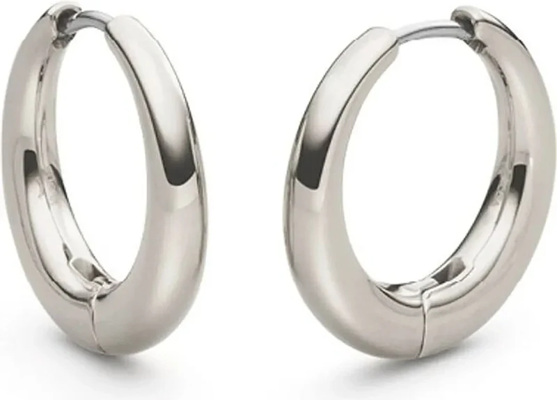 Creolen aus Titan - Boccia Jewelry Modell: 05100-01
