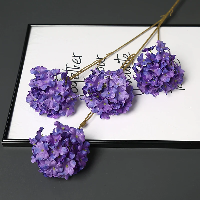 Dekorative getrocknete Blumenstängel für die Wohnkultur