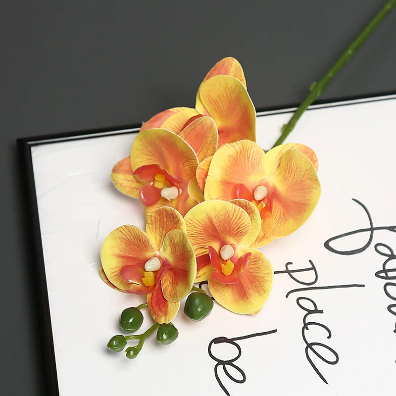 Lebensechter Orchideenblütenstiel