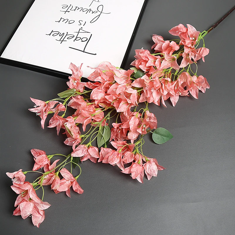 Bougainvillea Blumensstem für Wohnkultur-Display