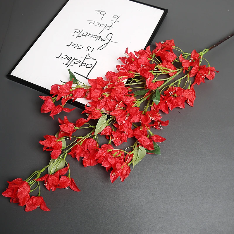 Bougainvillea Blumensstem für Wohnkultur-Display