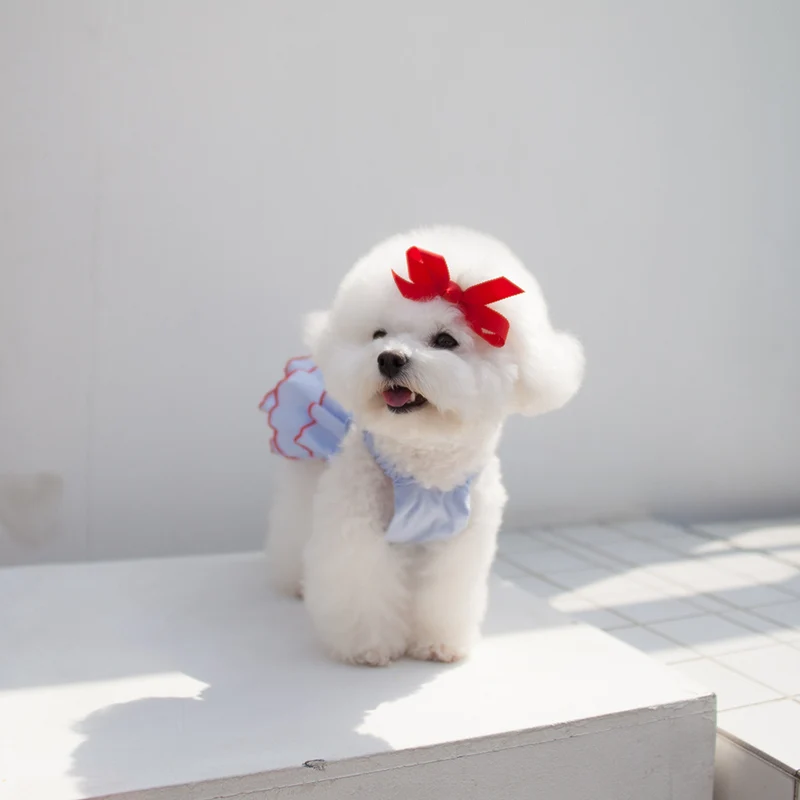Schichtige Chiffon Rüschenträger-Hundekleid mit elastischem Rücken und Kontrastbesatz