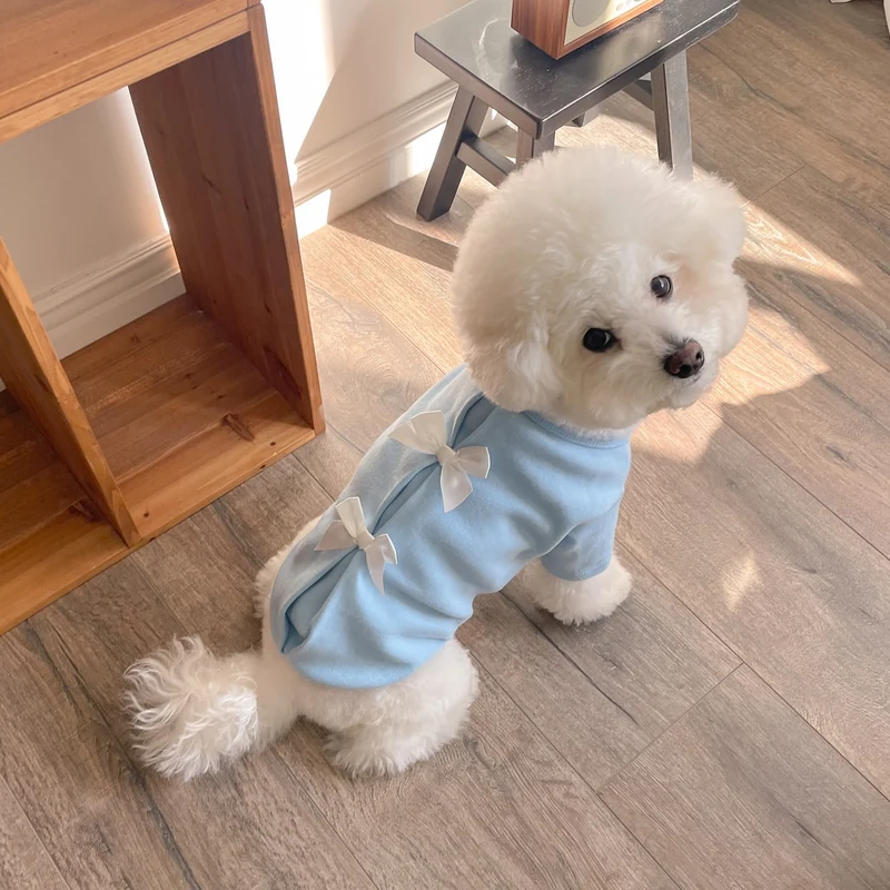 Kleiner Hund Samt - Rücken Kleid mit Satinband s