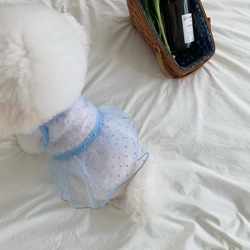 Kleines Hund Tüll Punkt Tutu Kleid mit Geschirrzugang & Verstellbaren Rückenriemen