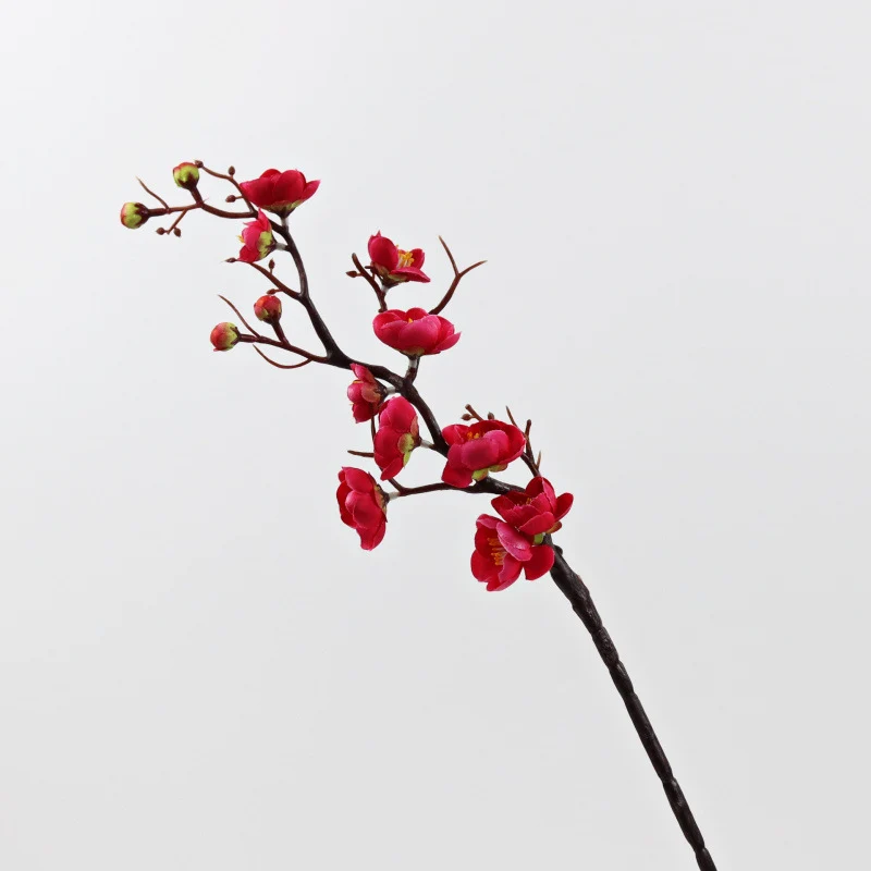Dekorative Blumenarrangement für die Hausdekoration