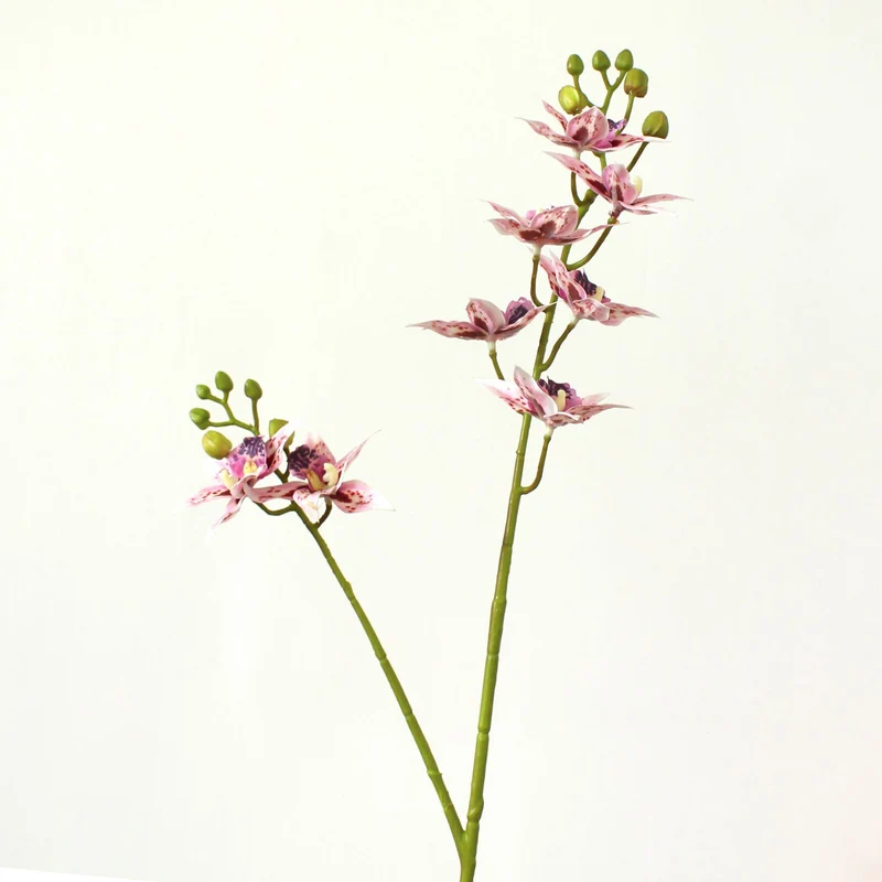 Dekorative Orchideenstiel