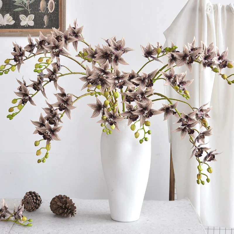 Dekorative Orchideenstiel