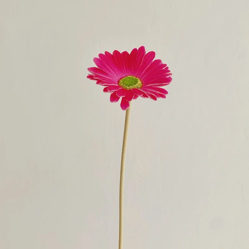 Dekorative künstliche Gerbera-Blume