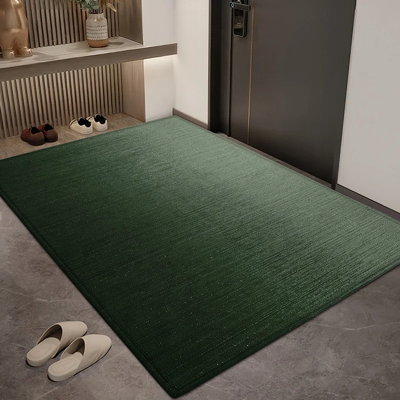 Moderner Minimalistischer Eingangsteppich