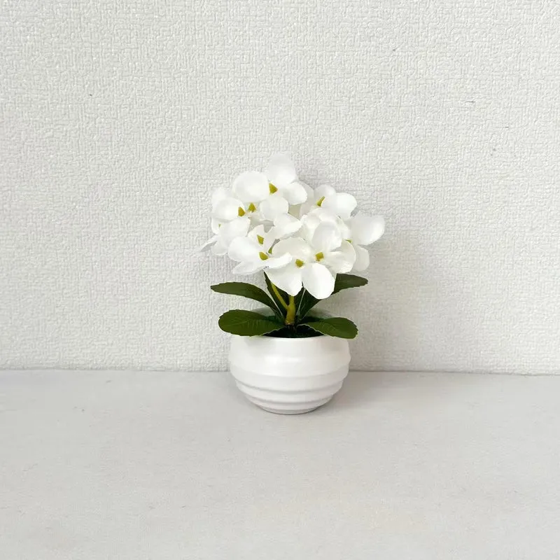 Lebensechte Miniatur Pothos Orchideenpflanze