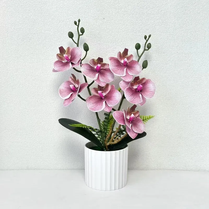 Realistische Orchideenpflanzenanordnung
