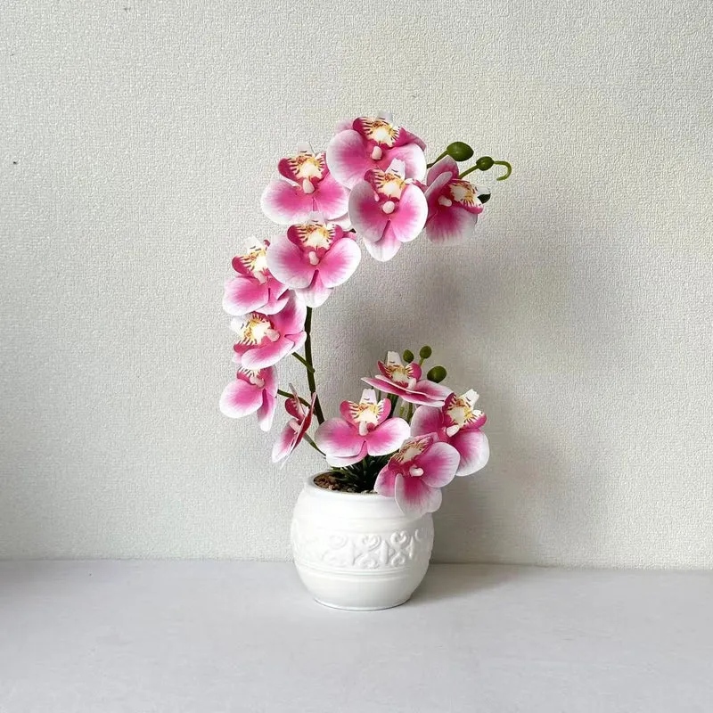 Premium Orchideenpflanzenarrangement