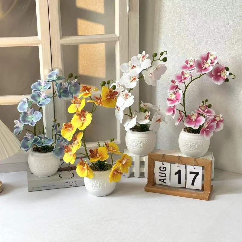 Premium Orchideenpflanzenarrangement