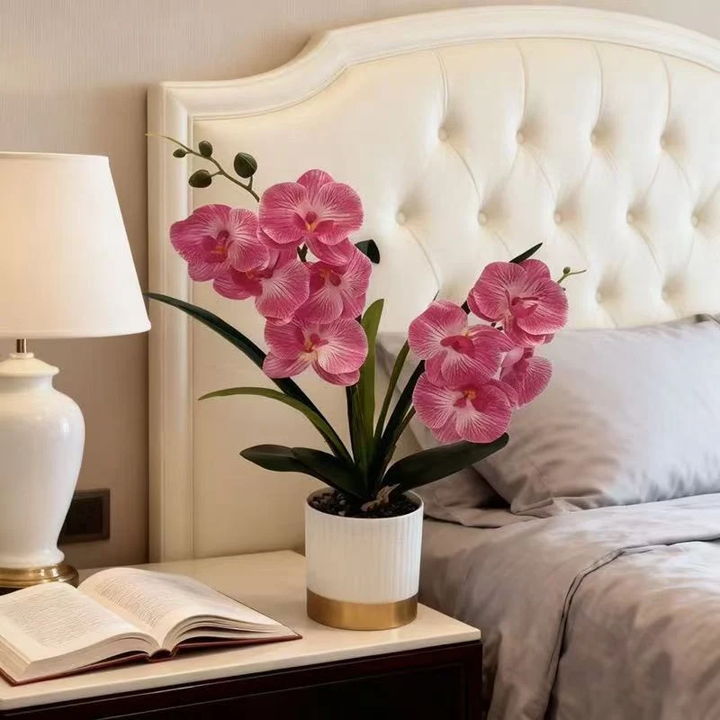 Orchideen-Blumen-Topfarrangement