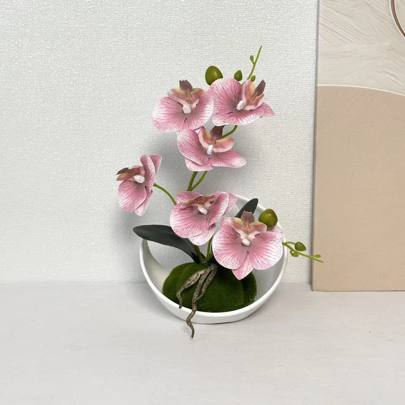 Orchideen Dekorativer Mittelpunkt