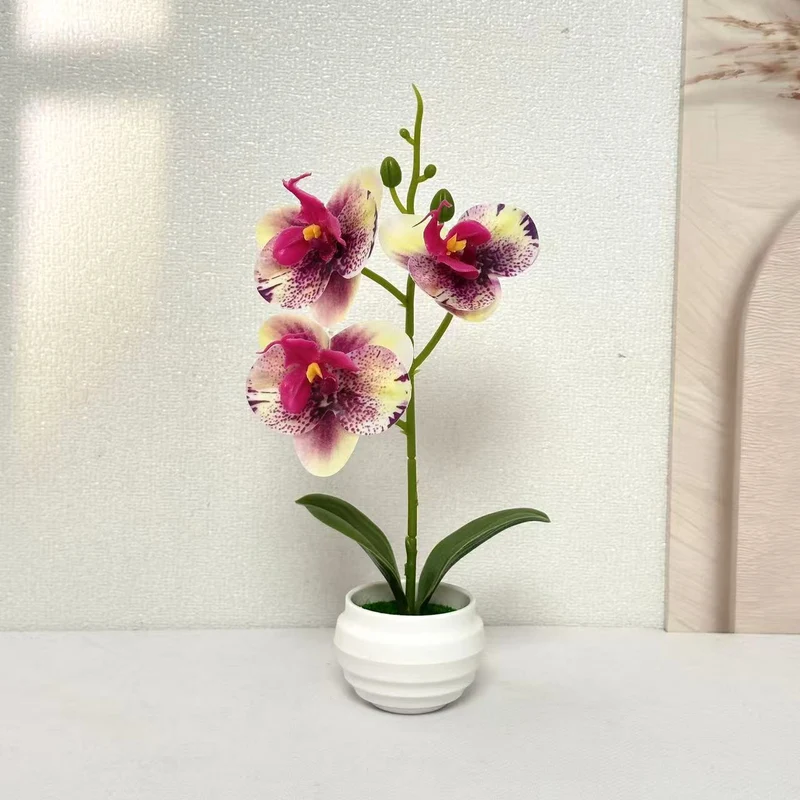 Elegante dekorative Orchideenpflanzenanordnung für die Wohnkultur