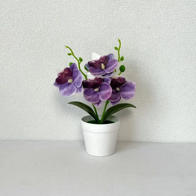 Elegante dekorative Orchideen-Blumenarrangement für die Wohnungseinrichtung