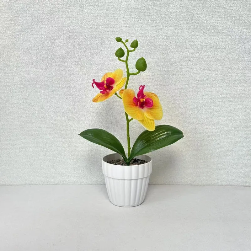 Lebensechte Orchidee Pflanze in dekorativem Keramiktopf für Dekor