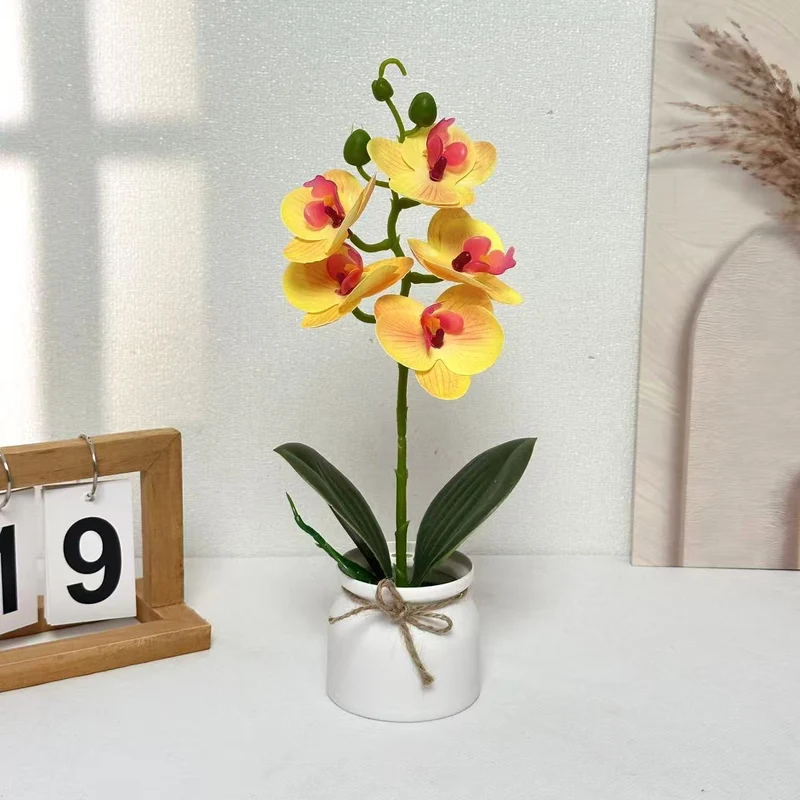 Lebensechte Orchideenpflanzenanordnung für die Innendekoration