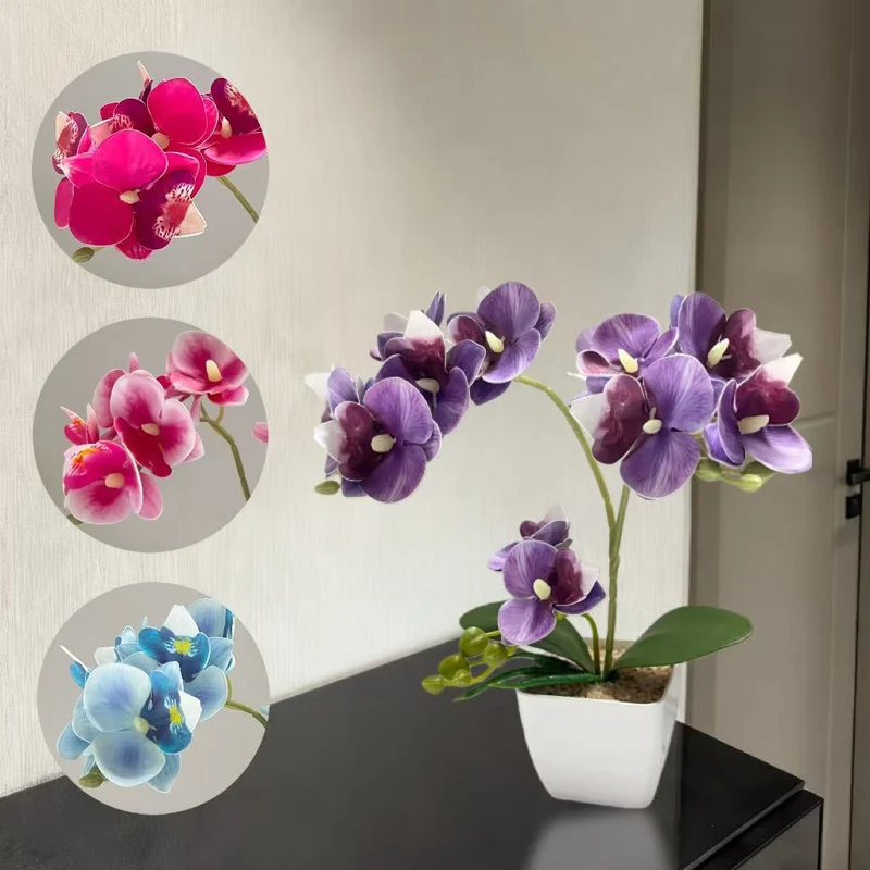 Lebensechte Orchideenpflanzenanordnung für die Heimpräsentation