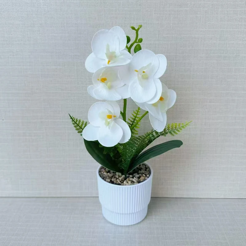 Exotische Orchideenpflanzenanordnung