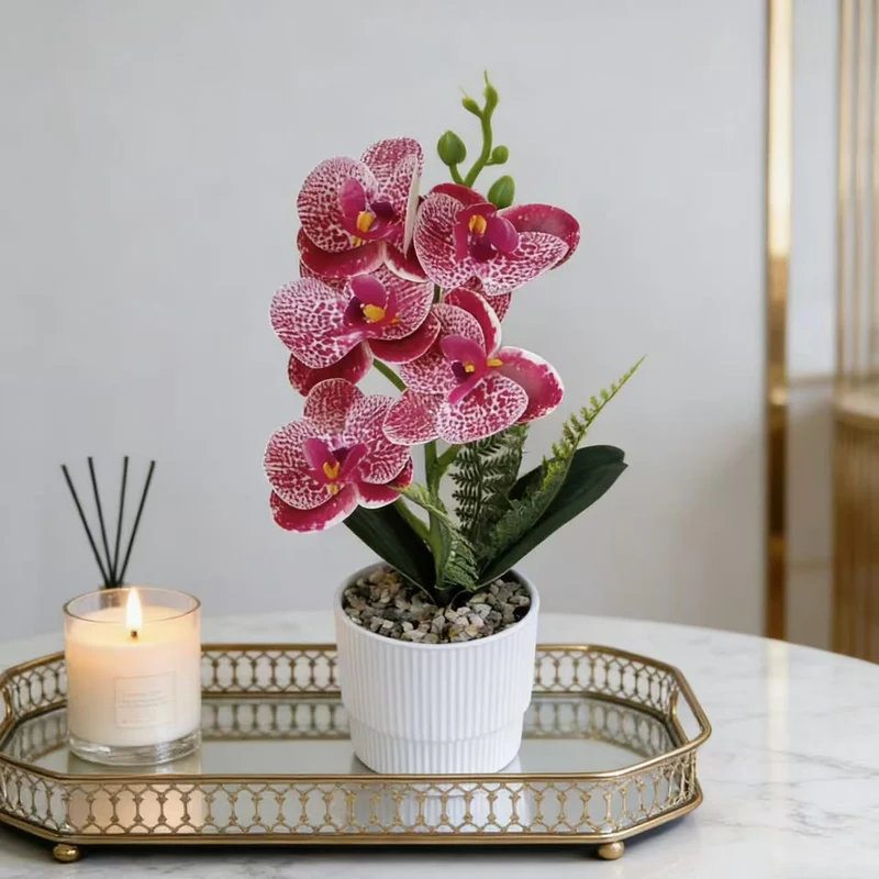 Exotische Orchideenpflanzenanordnung