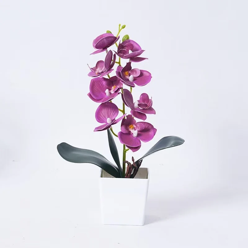 Elegante Orchideenpflanze Dekoration