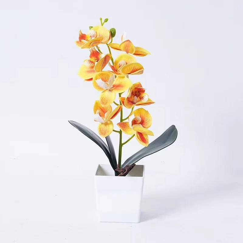 Elegante Orchideenpflanze Dekoration