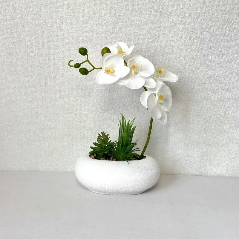 Eleganter Orchideen- und Sukkulentenpflanzer
