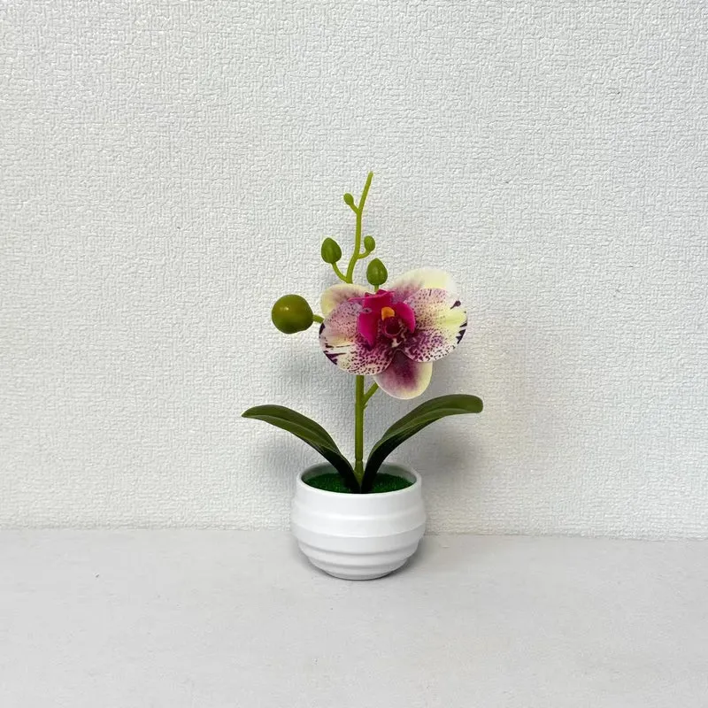 Lebensechte Orchideen Blumenkübel Dekoration