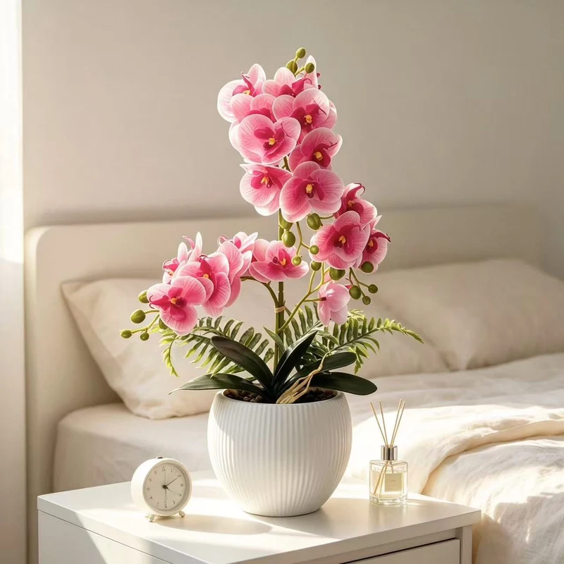 Dekorative Orchideenpflanze für dekorative Wohnraumgestaltung