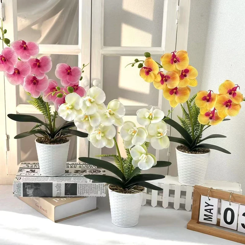 Dekorative Orchideenpflanze für die Inneneinrichtung