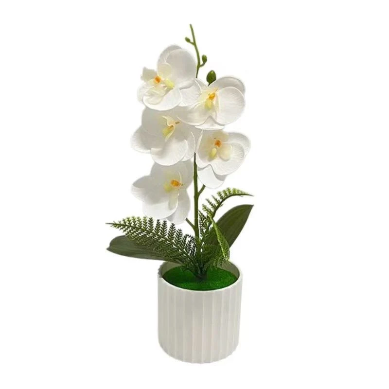 Dekorative Orchideenpflanzenanordnung 1790480742 für Dekoration