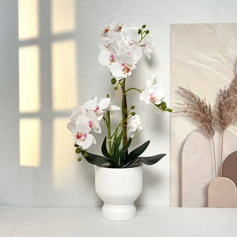 Dekorative Orchideenpflanzenarrangement 1790480695 für Dekor