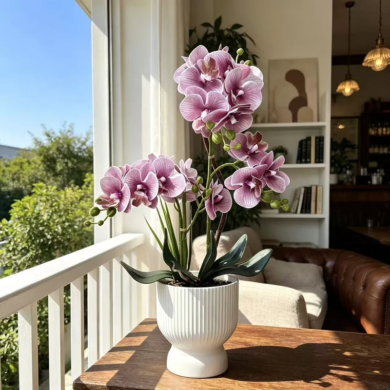 Dekorative Orchideenpflanzenarrangement 1790480695 für Dekor