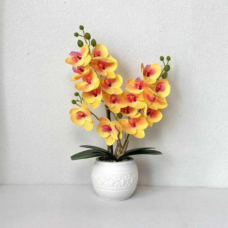Dekorative Orchidee für Tischdekoration
