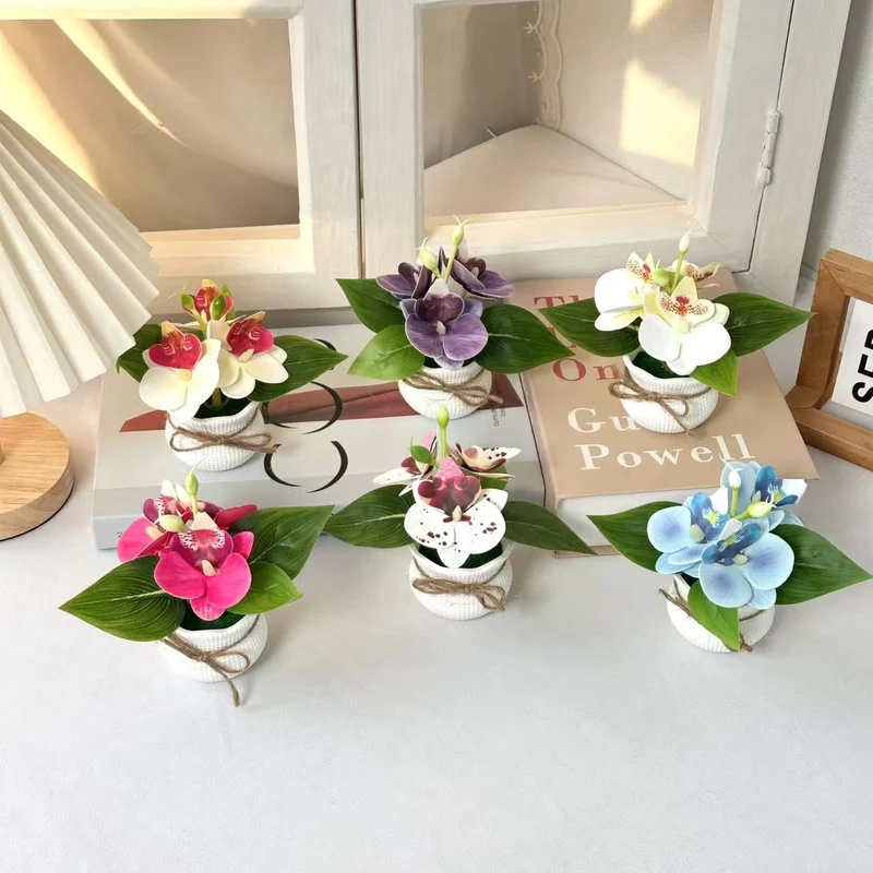 Dekorative Miniatur-Orchideen-Arrangement