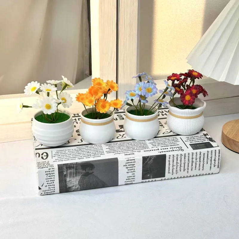 Dekorative Gänseblümchen-Pflanzenanordnung