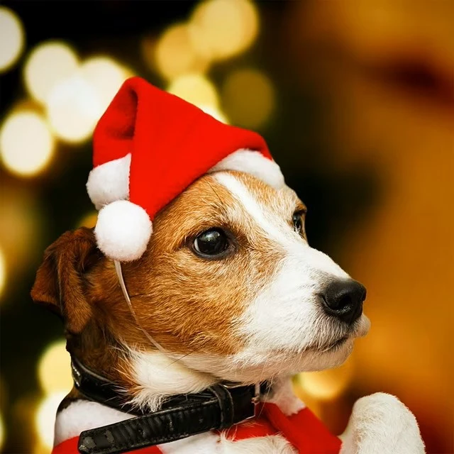 Festliche Weihnachtsmütze