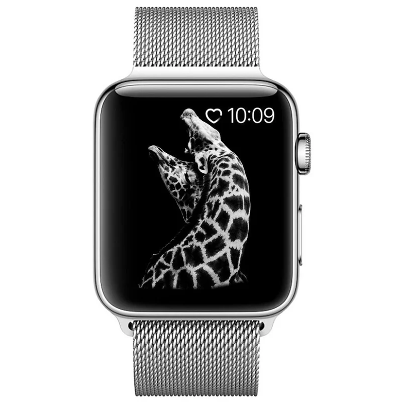 Apple Watch Series 6 40mm / Apple Watch Series 5 40mm Metall armband