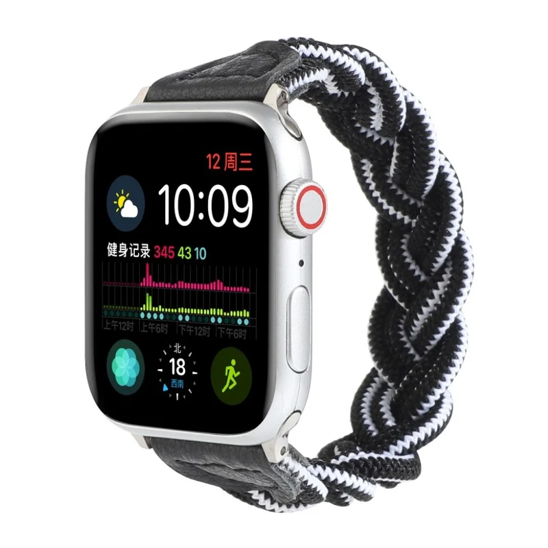 Sehr gepflegt Universell Apple Textil / Nylon armband