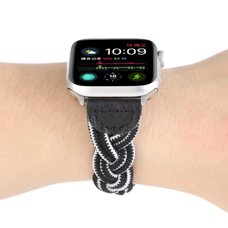 Sehr gepflegt Universell Apple Textil / Nylon armband