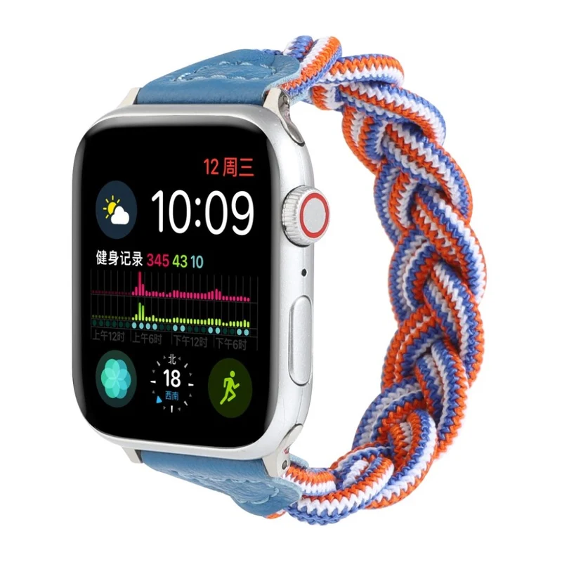 Sehr gepflegt Universell Apple Textil / Nylon armband