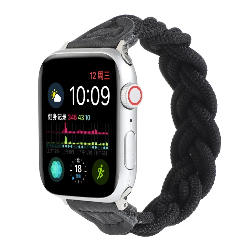 Sehr gepflegt Universell Apple Textil / Nylon armband