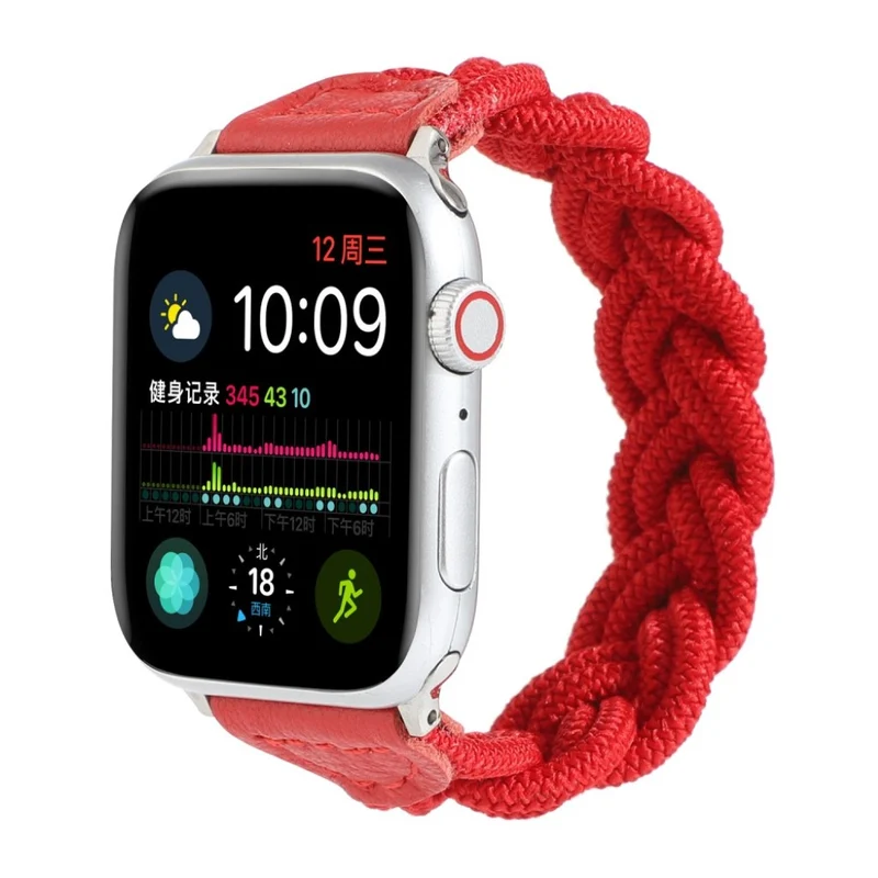 Sehr gepflegt Universell Apple Textil / Nylon armband