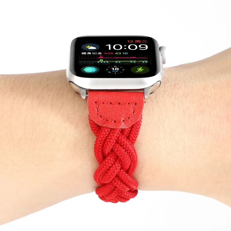 Sehr gepflegt Universell Apple Textil / Nylon armband