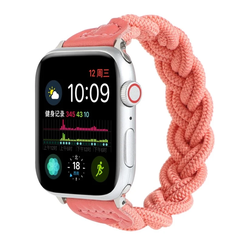 Sehr gepflegt Universell Apple Textil / Nylon armband