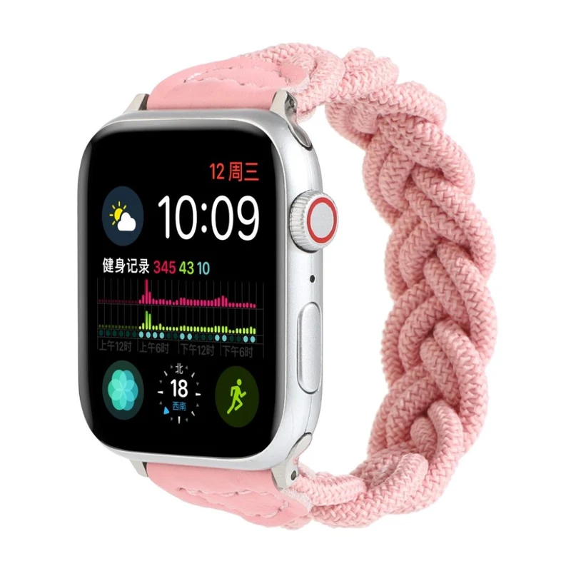 Sehr gepflegt Universell Apple Textil / Nylon armband
