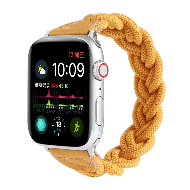 Sehr gepflegt Universell Apple Textil / Nylon armband