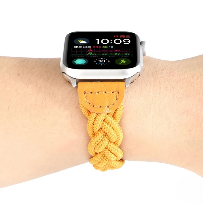 Sehr gepflegt Universell Apple Textil / Nylon armband